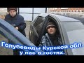 Голубеводы из г Курска у нас в гостях