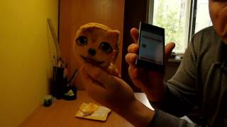 Мини кошелек детский 3D кошки, собаки Мини кошелек детский 3D кошки, собаки