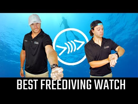 Garmin Descent MK1 Dive Watch Review - Florida Freedivers