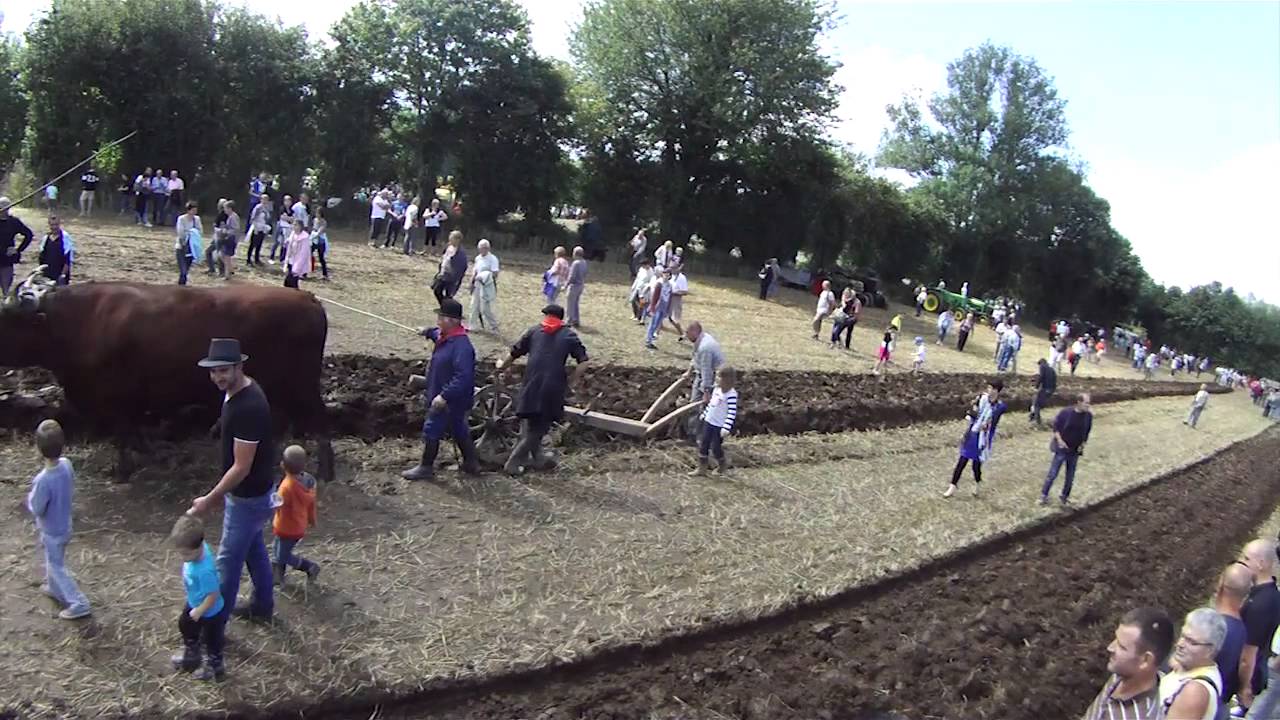Fête de la Moisson 2014 St Denis de Gastines YouTube