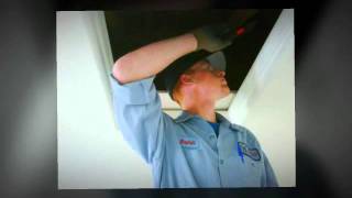 Pest Control La Mesa