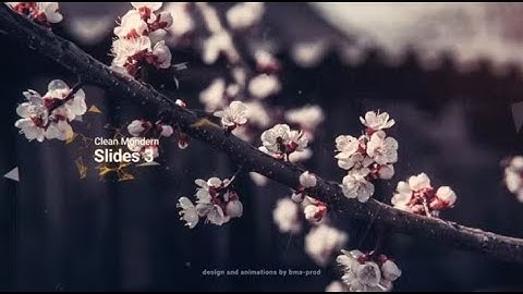 Clean Modern Slides 3 | After Effects Template Videohive