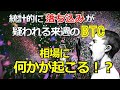 統計的に落ち込みが疑われる来週のビットコイン(BTC)相場に何かが起こる!?