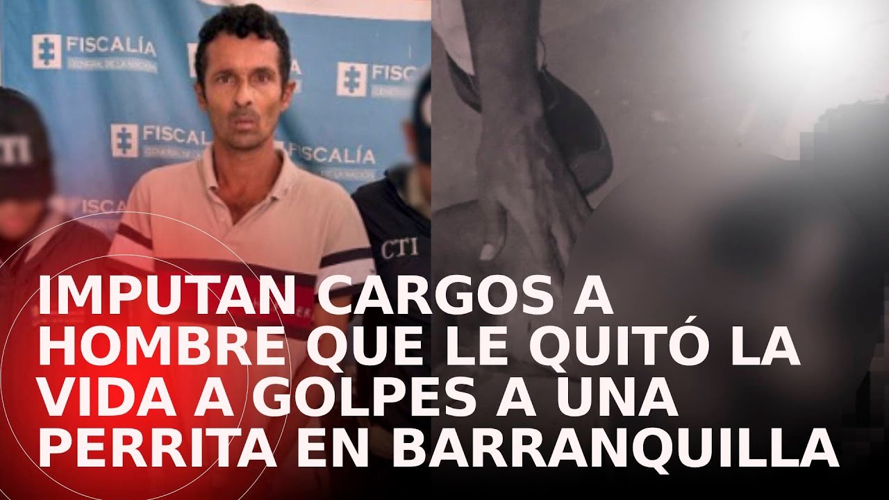 Imputan cargos a hombre que le quitó la vida a golpes a una perrita en ...