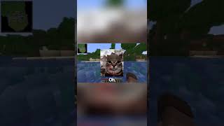 Minecraft but we share an inventory #shorts #minecraft