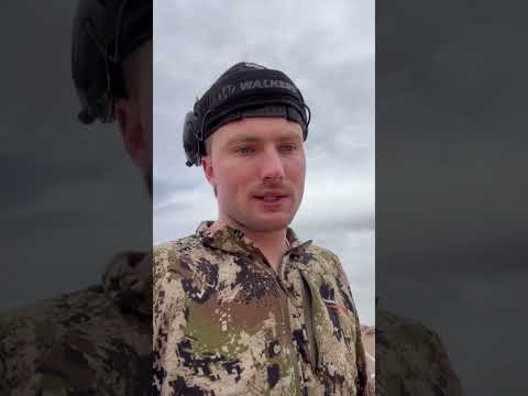 Standard Deviation, It Matters!!