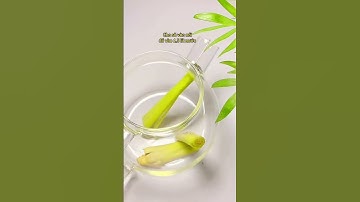 Đẩy lùi rối loạn tiền đình bằng bài thuốc dân gian cực đơn giản với sả #baithuochay #thuốcnam