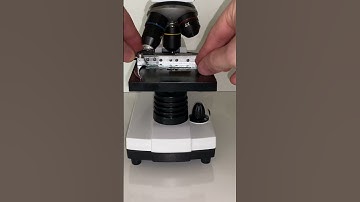 Apple under the microscope 🍎🔬 #microscope  #science #apple