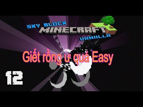 Skyblock Vanilla E12: Kết thúc chăng !!!???