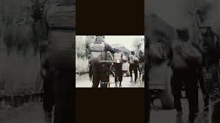 Special Forces × RR — the real shadow warriors of India. 🇮🇳#SpecialForces #shorts #assamrifles