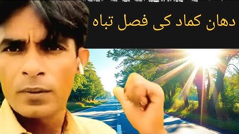 Productive vlog|Velogs|lifestylevlog#ProductiveVlog #