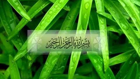 سورة المؤمنون    بصوت خاشع ابراهيم الجبرين