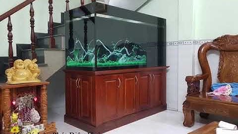 Hồ cá rồng thi công tại nhà anh Huỳnh Bình Dương