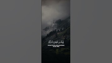 الله نور السموات والأرض | محمد النقيب | #قرآن #قران_كريم #سورة_النور #راحة_نفسية #اكسبلور#لايك#ترند
