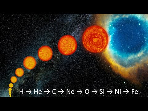 Video: Che Aspetto Hanno Le Stelle Nella Vita Di Tutti I Giorni?