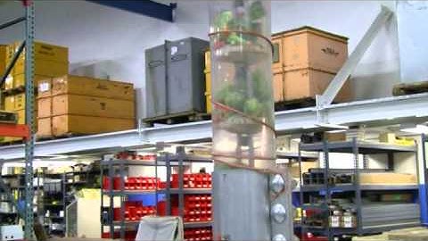 MPE Chain-Vey: Frozen Veggies