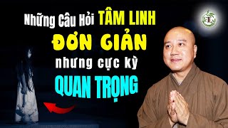 Những Câu Hỏi Tâm Linh Đơn Giản Nhưng Rất Quan Trọng Ai Cũng Nên Nghe - Vấn Đáp Thầy Pháp Hòa