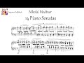 Medtner - 14 Piano Sonatas (Many performers)