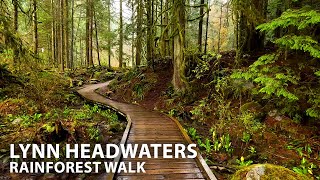 Lush Rainforest Walk in Lynn Headwaters Park, North Vancouver, BC Canada