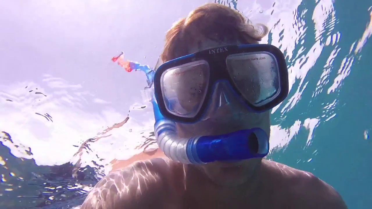 Snorkeling In Carlisle Bay Barbados Youtube