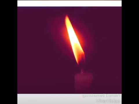 بينك وبيني ذكره بعيش بيها