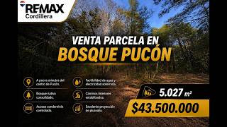 Parcela en venta en Bosque Pucón | 5.027 m² de bosque nativo | Pucón