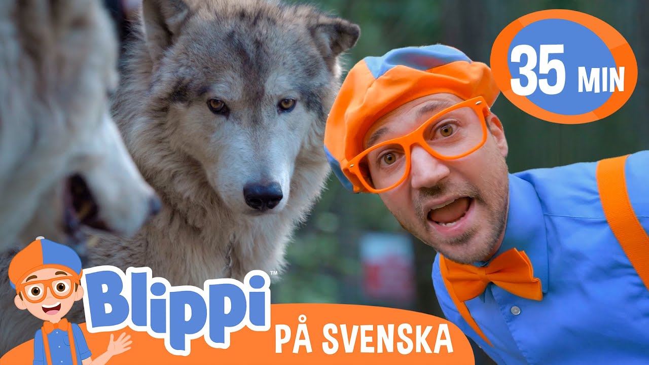 Blippi Svenska | Blippi besöker Viltparken! | pedagogiska videor för barn