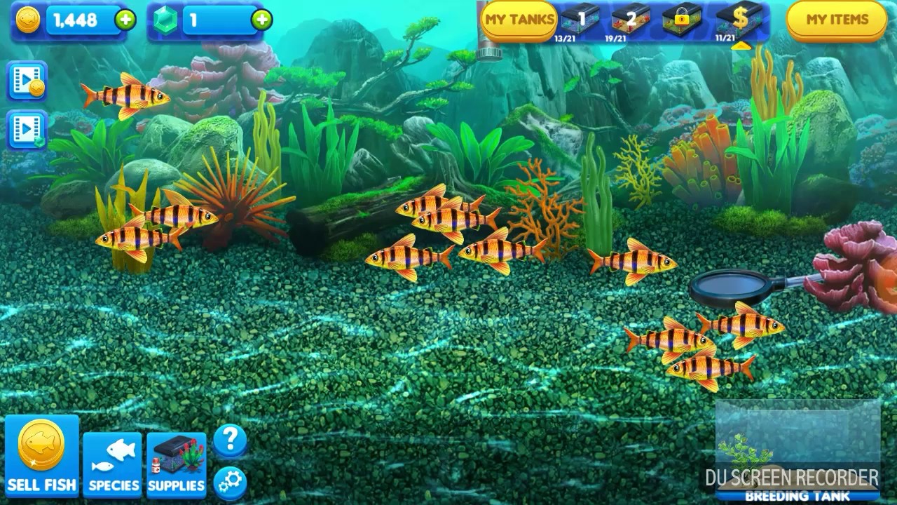 Fish Tycoon Magic Fish Chart Pictures