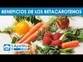 8 Propiedades y Beneficios de los BETACAROTENO 🧡✅ | QueApetito