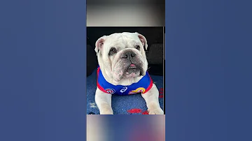 Https Vt Tiktok Com ZSASK85ah 