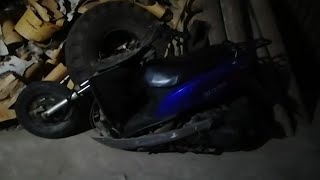 Лошадь затоптала участника ДТП? видео