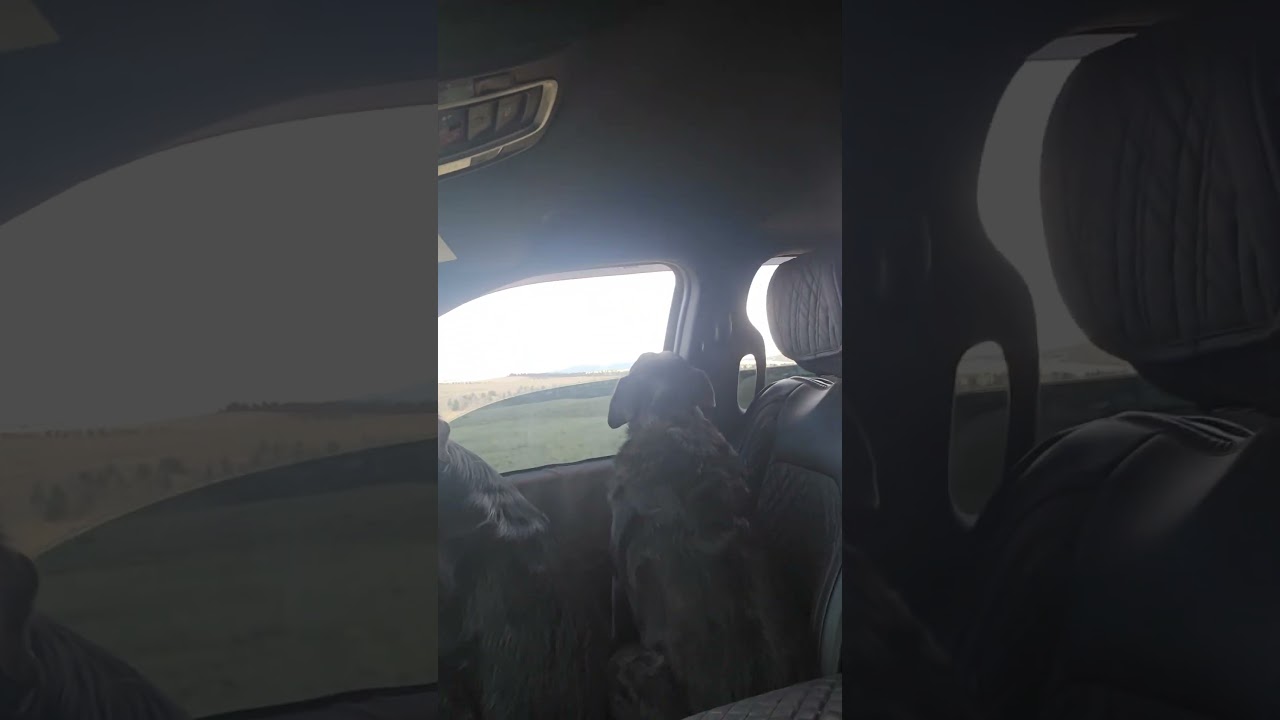 hitting the backroads like old times!!