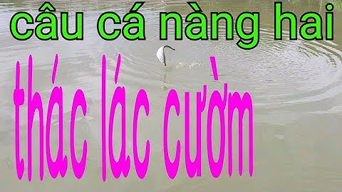 CÂU CÁ THÁC LÁC CƯỜM SƯỚNG TÊ CẦN CÂU TAY | quốc toản fishing