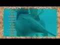 Couples Retreat (2009) – During Credits Scene | Characters Enjoy the Island