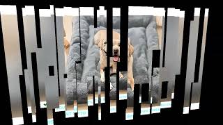 Dog Pet Beds Extra Large Plush Dog Bed Sofa Thickened Super Soft Polyester Pet Mat Dog Crate Mat Bed screenshot 3