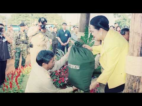สารคดีเฉลิมพระเกียรติ ชุด ร้อยไทยด้วยดวงใจ ตอน กาแฟใต้ร่มพระบารมี