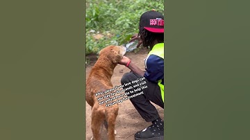 Even $10 can help gofundme link in bio 🙏