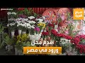 صباح العربية أقدم محل ورود في مصر قصته مع أم كلثوم 