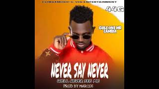 Chile One Mr Zambia  never Say Neverwell Never See Me