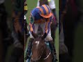 Found defeats Golden Horn at the #BreedersCup