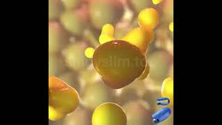 South Moon Body Care Clipbuy 1 Free 1