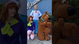 Asking the gang about HHN 35! Velma is allergic to Clowns! #hhn #hhn35 #hhnforever #scoobydoo