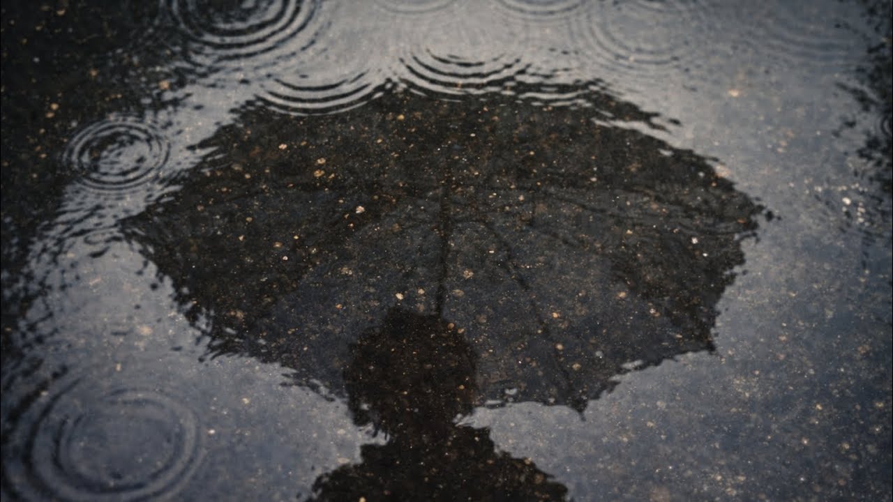 아직도 비가 내리네 