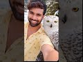 “Snowy Owl ke saath meri Real Selfie 😍❄️ | Unbelievable Wildlife Moment” #animals #greyowl #shorts