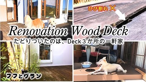 【大型犬多頭飼いの一軒家】部屋と一体化したウッドデッキで心地よく過ごす時間。 木/人工木/田舎/一軒家/住宅密集地/リノベーション