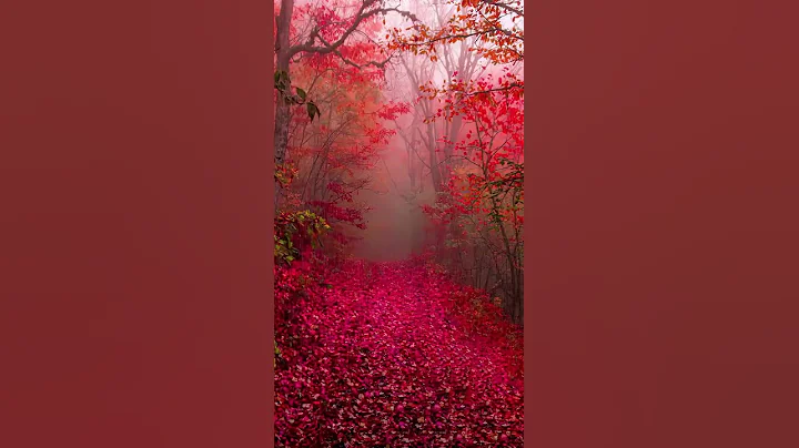 Beautiful World - Beautiful places in the World #shorts #61 - DayDayNews