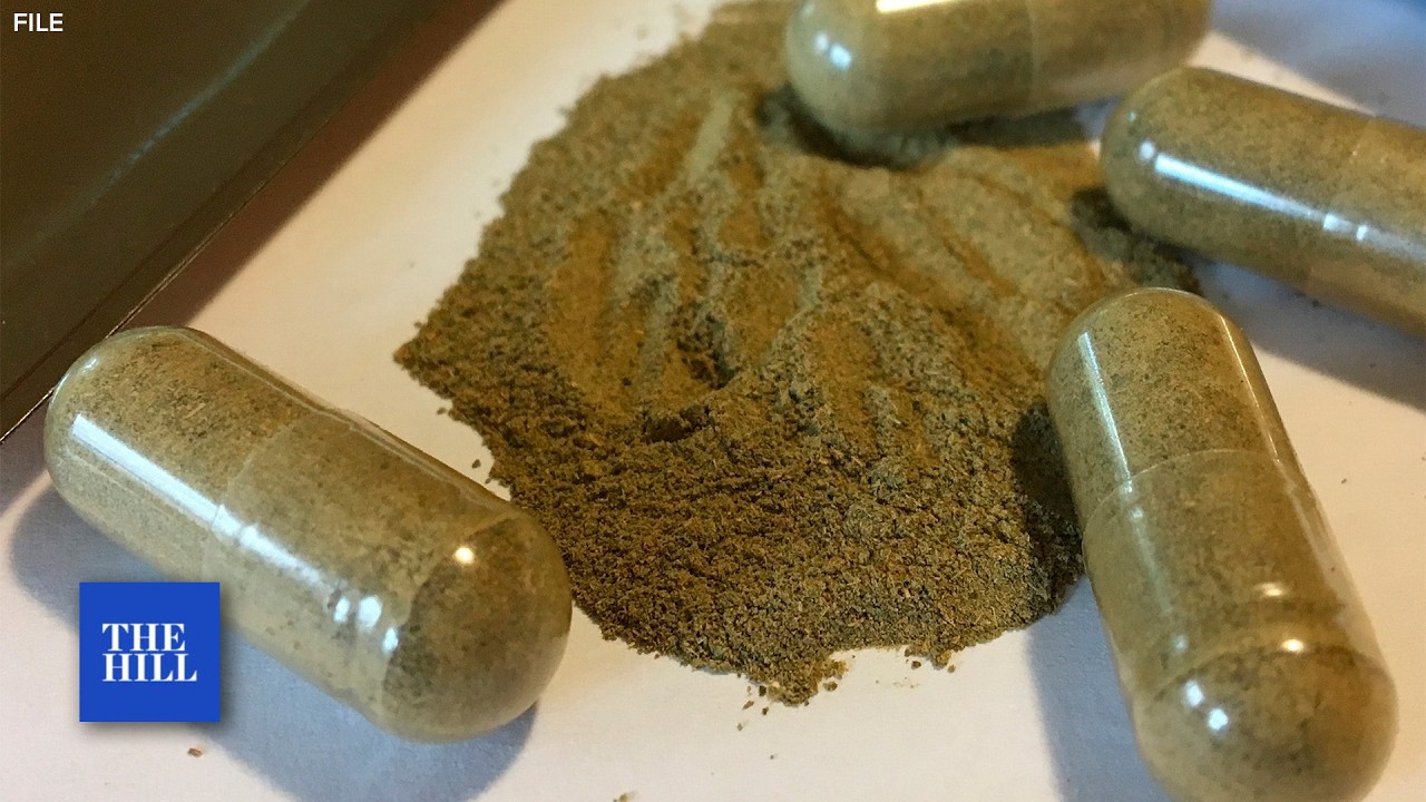 What is Kratom? 2 Ole Miss students found dead near herbal substance