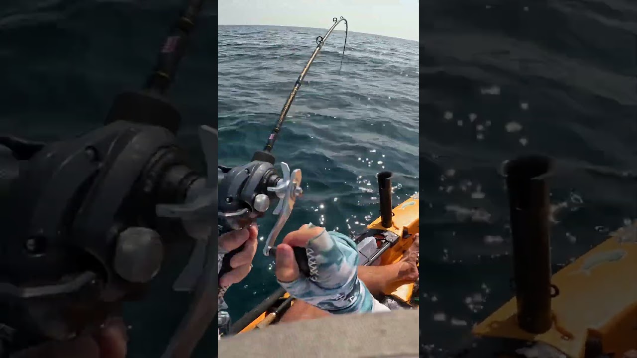 POV: you’re a spinning rod guy using a conventional reel with a big grouper on the hook