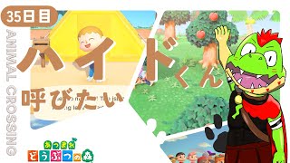 【35日目】株価あがってもいいよ【川鰐グラムのあつまれどうぶつの森実況】（あつ森・ポケ森）