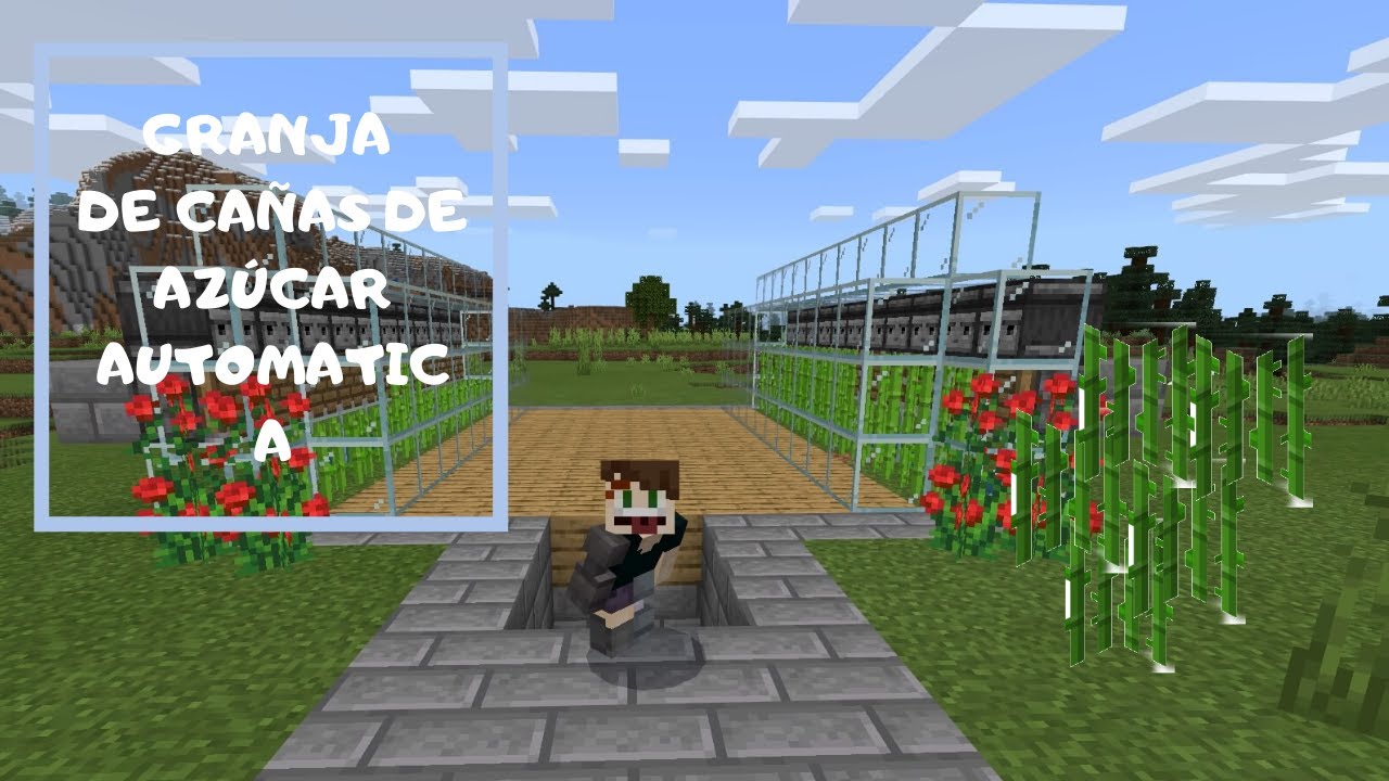 Granja De Canas De Azucar Minecraft